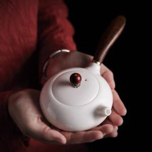 Japanese Kyusu with Wooden Handle 190ml Kyusu Teapot Chinese Tea Set