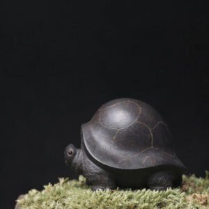 a small turtle on a mossy surface